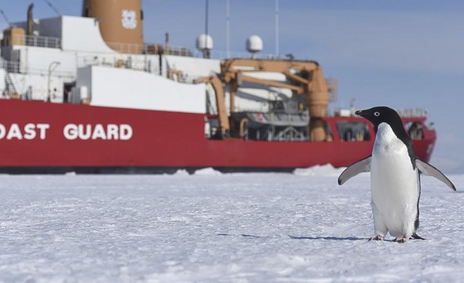 Ein Adelie-Pinguin begrÃ¼Ãt den U.S. amerikanischen Eisbrecher Polar Star im McMurdo-Sound. Das Schiff wurde 1976 in Dienst gestellt und ist eines der grÃ¶Ãten Schiffe in der Flotte der U.S. KÃ¼stenwache. Die Polar Star bricht jedes Jahr einen Kanal in das Meereis im McMurdo Sound, so dass die McMurdo Station und die wissenschaftlichen Programme auf dem Eis versorgt werden kÃ¶nnen. (Bild: US Coast Guard)