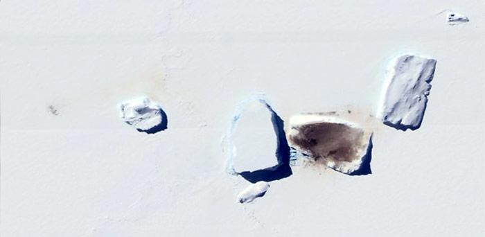 Zwischen Eisbergen gegen Kälte und Sturm geschützt, befindet sich diese Kaiserpinguin-Kolonie auf dem Packeis beim Mertz Gletscher in der Ostantarktis.