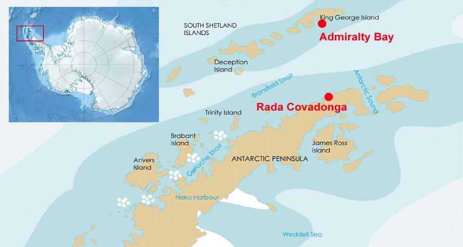 Während sich die Kolonie «Admiralty Bay» auf King Georg Island liegt, befindet sich die Kolonie «Rada Covadonga» auf antarktischem Festland.