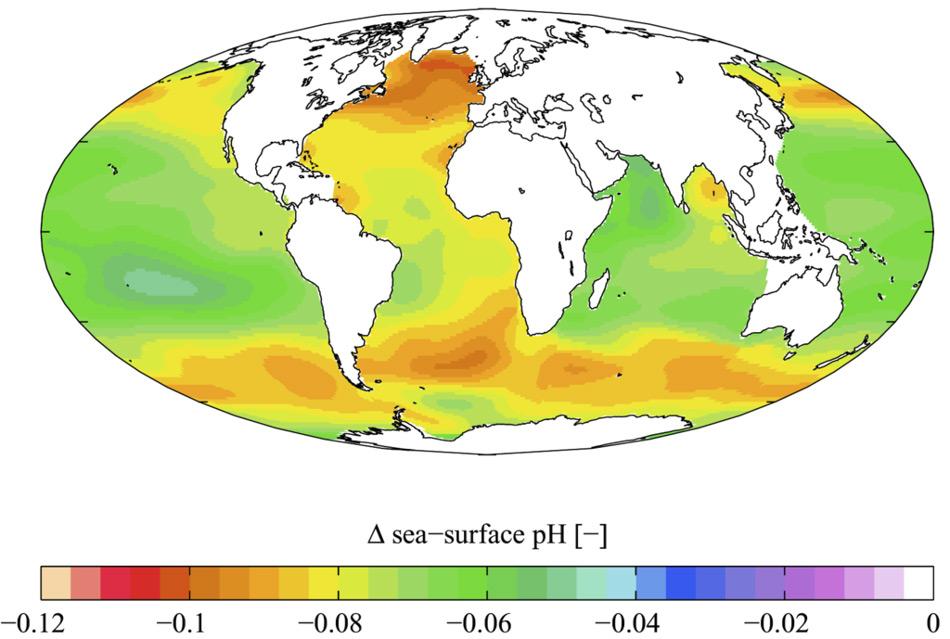 Die Welt-Ozeane werden immer sauer. Gezeigt ist hier die geschÃ¤tzte VerÃ¤nderung des Meerwasser-pH-Wertes (ein MaÃ fÃ¼r den SÃ¤uregehalt des Wassers), die durch das von Menschen erzeugte Kohlendioxid verursacht wurde. Gelb und orange zeigen eine Zunahme des SÃ¤uregehalts zwischen den 1700er und 1990er Jahren an. Die Daten basieren auf dem Global Ocean Data Analysis Project (GLODAP) und dem World Ocean Atlas. (Bild: Wikipedia, Plumbago)