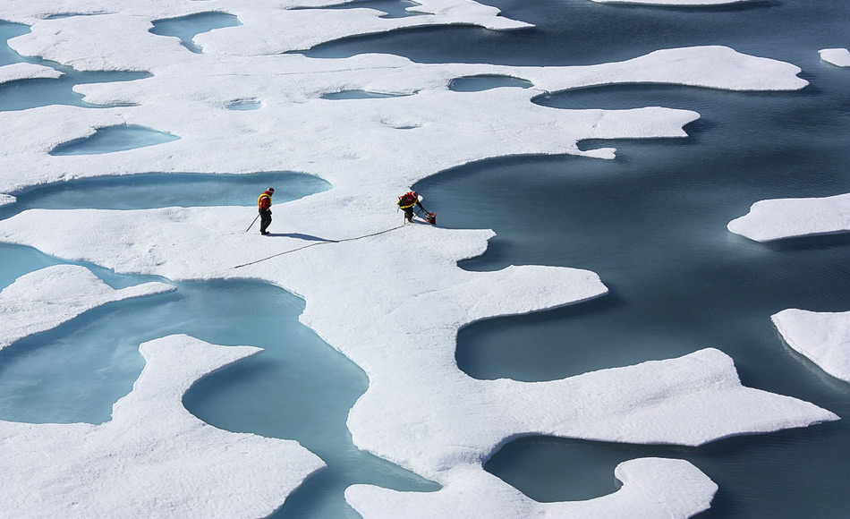 Algen wachsen unter dem Meereis in der Arktis. Bisher wurde angenommen, dass sie erst im FrÃ¼hjahr aktiv werden, wenn das Eis schmilzt und Licht in die Tiefe vordringt. (Bild: NASA Goddard Space Flight Center aus Greenbelt, MD, USA, hochgeladen von PDTillman)