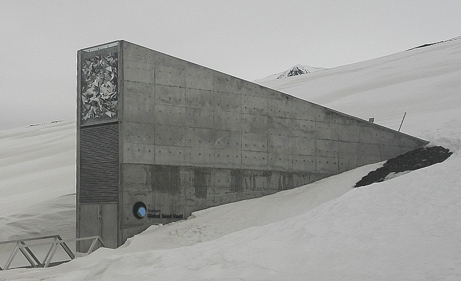 Die Svalbard Global Seed Vault, zu Deutsch âWeltweiter Saatgut-Tresor auf Svalbardâ, ist eine sichere Samenbank auf der norwegischen Insel Spitzbergen in der NÃ¤he von Longyearbyen im abgelegenen arktischen Svalbard Archipel, etwa 1300 km vom Nordpol entfernt. Im Tresor sind eine Vielzahl von Pflanzensamen aufbewahrt, Duplikate von Samen, die weltweit in Genbanken gelagert werden. Der Samentresor ist eine Versicherung gegen den Verlust von Samen in anderen Genbanken durch groÃrÃ¤umige regionale oder globale Krisen. (Bild: Wikipedia, Miksu)