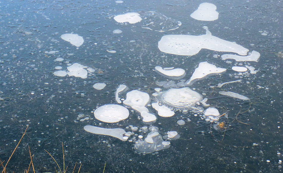 Unter den Seen der Arktis liegen grosse Methanvorkommen, die durch die Erwärmung freigesetzt werden können. Methan ist ein viel stärkeres Treibhausgas als Kohlendioxid und wird daher als noch grössere Gefahr betrachtet. Bild: Guido Grosse