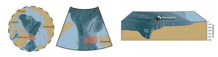 Die Tiefsee-Forscher am AWI untersuchen das Gebiet zwischen Spitzbergen und Grönland seit 1999. Der «HAUSGARTEN» besteht aus 16 Stationen die Wassertiefen von 1000 bis 5500 m umfassen. An diesen Stationen werden alljährlich in den Sommermonaten Probennahmen durchgeführt.