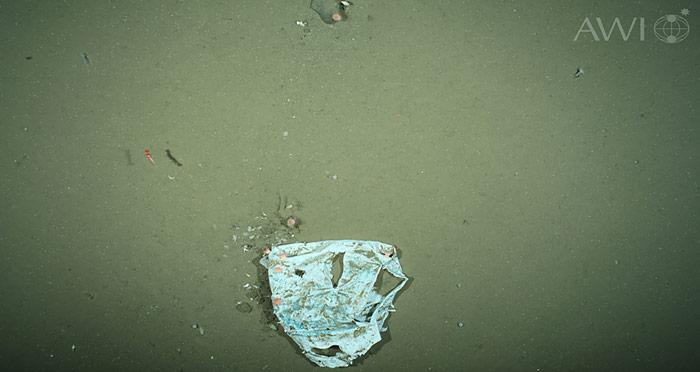 Auf 2500 Meter fehlen das Sonnenlicht und Wasserbewegungen. Unter diesen Bedingungen kann Plastikabfall wahrscheinlich Jahrhunderte überdauern.