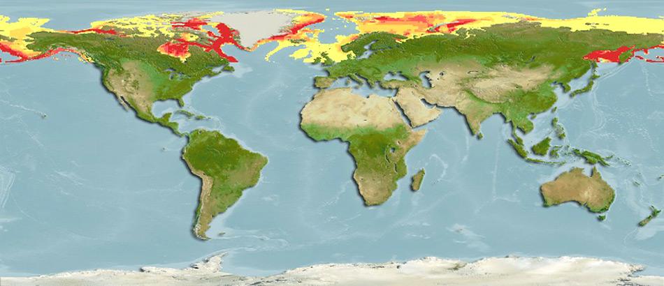 Der Polardorsch ist in den kalten Gewässern des arktischen Polarmeeres zu Hause. Diese Art ist zirkumpolar verbreitet, d. h. sie bewohnt den Nordatlantik ebenso wie den Nordpazifik.