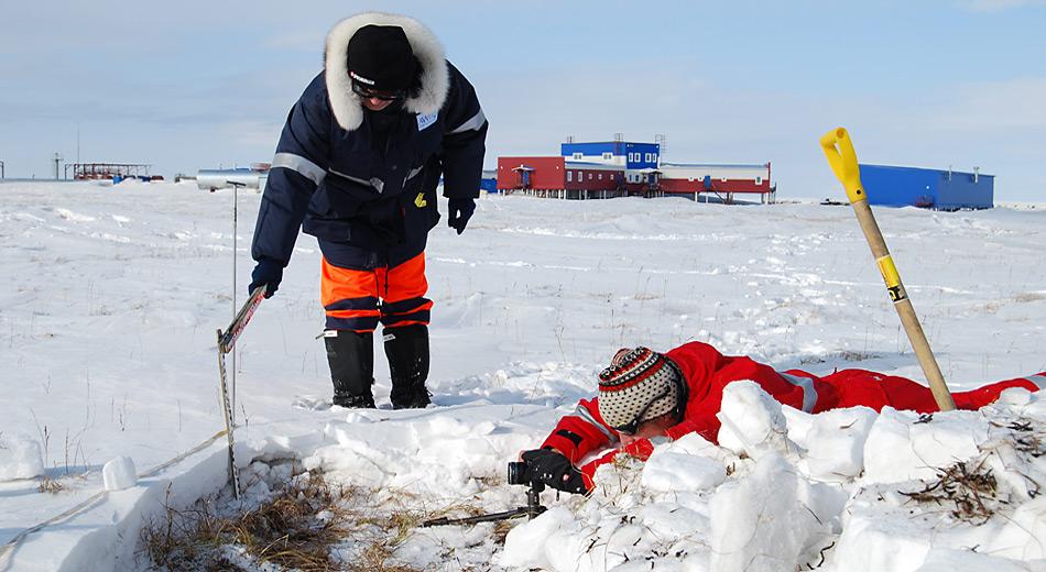 Hanno Meyer (AWI, in blau) und Martin Proksch (WSL-Institut für Schnee- und Lawinenforschung SLF, Davos in rot) beim Dokumentieren eines Schneeprofils in der polygonalen Tundra auf Samoylov. Foto: Thomas Opel, AWI