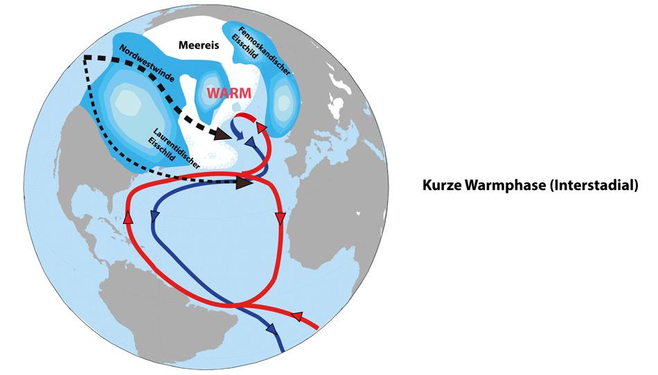 Die Nordhalbkugel im Â«InterstadialÂ» (kurze, warme Zwischenphasen wÃ¤hrend der Eiszeit) In den lang anhaltenden Kaltphasen wuchsen die Eisschilde weiter an. Bei hÃ¶heren Eisschilden Ã¼ber Nordamerika, wie sie dann in Zeiten mittlerer MeeresspiegelhÃ¶hen typisch waren, trennten sich die vorherrschenden Nordwestwinde in zwei Arme auf. Die HauptwindstrÃ¶mung verlief nÃ¶rdlich des so genannten Laurentidischen Eisschildes und sorgte dafÃ¼r, dass auch die Meereisgrenze vor der europÃ¤ischen KÃ¼ste sich gen Norden verlagerte.