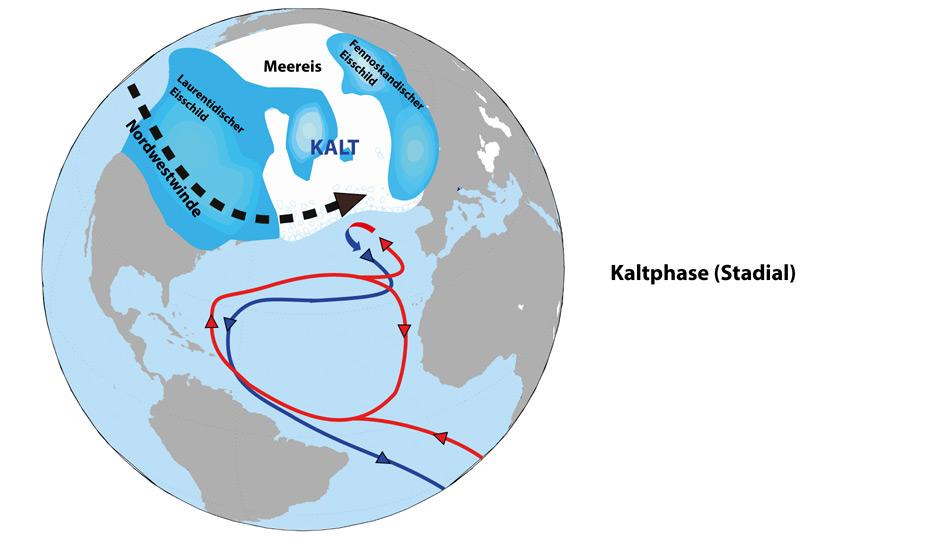 Die Nordhalbkugel im Â«StadialÂ» (Kaltphasen) In der eiszeitlichen Kaltphase bedeckten riesige Eisschilde den Norden Amerikas und Europas. Starke Nordwestwinde trieben das arktische Meereis bis zur franzÃ¶sischen KÃ¼ste hinunter. Weil der ausgedehnte Eisdeckel auf dem Nordatlantik den WÃ¤rmeaustausch zwischen Luft und Meer unterband, fehlte den MeeresstrÃ¶mungen die starke Antriebskraft wie unter heutigen Bedingungen. Die Ozeanzirkulation als mÃ¤chtiges FÃ¶rderband der Weltmeere war deshalb sehr viel schwÃ¤cher ausgeprÃ¤gt als in der Gegenwart und transportierte nur wenig WÃ¤rme in den Norden.