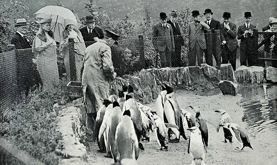 1934 - KÃ¶niglicher Besuch im Zoo von Edinburgh durch King George V and Queen Mary.